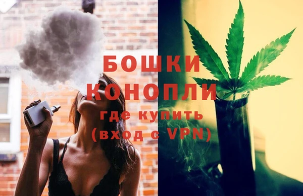 spice Зеленодольск