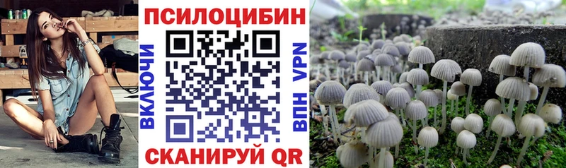 Галлюциногенные грибы MAGIC MUSHROOMS  Купить  Иланский 