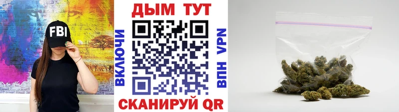 МАРИХУАНА SATIVA & INDICA  Купить  Иланский 